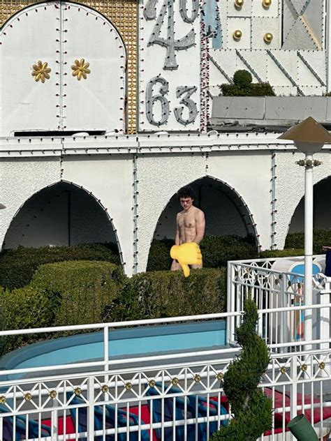 it's a small world streaker name|Disneyland Park Guest Arrested After Stripping Off .